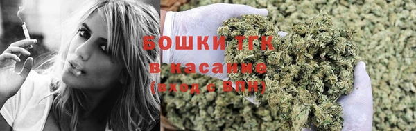 гидра Семилуки