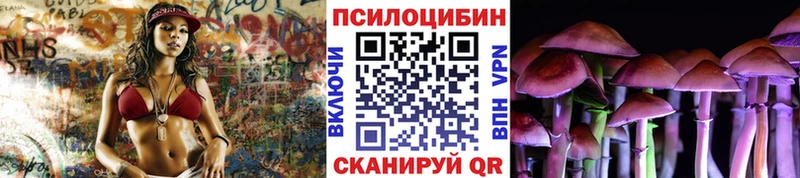 Галлюциногенные грибы Magic Shrooms  купить наркоту  Вилючинск 