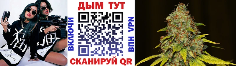 omg как зайти  Вилючинск  Каннабис гибрид  купить закладку 